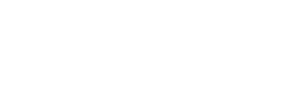 SSI Full Logo